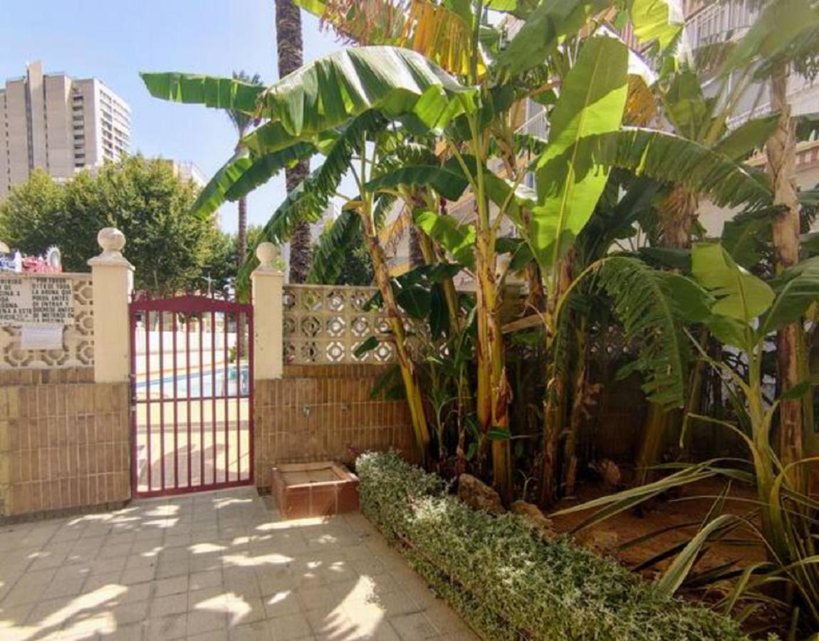 Benidorm Rocas One, Un Oasis A 100 Metros Del Mar 아파트 외부 사진